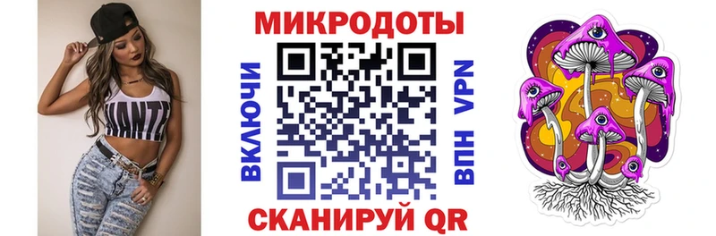 Псилоцибиновые грибы Psilocybe дарнет шоп Стародуб